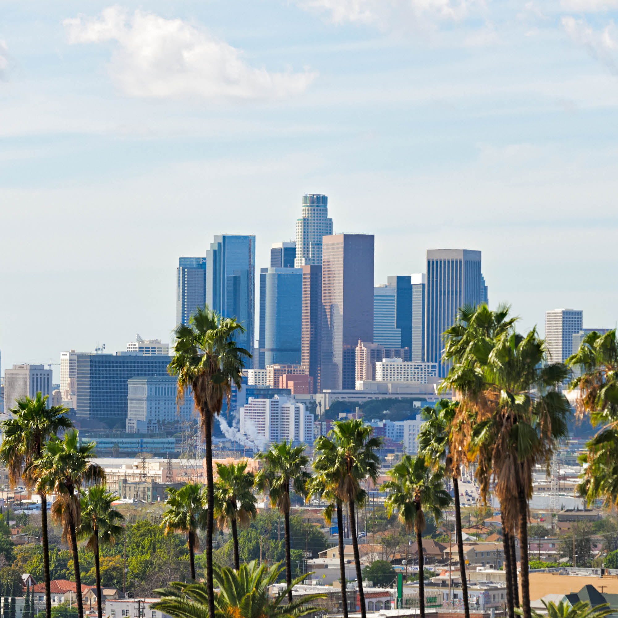 a city with tall buildings and palm trees